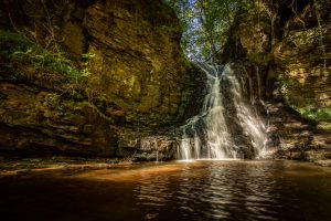 hareshaw-linn