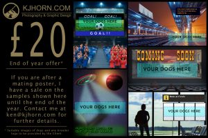 End of year mating poster sale